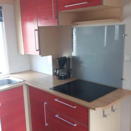 T3 Renata * Burinhosa